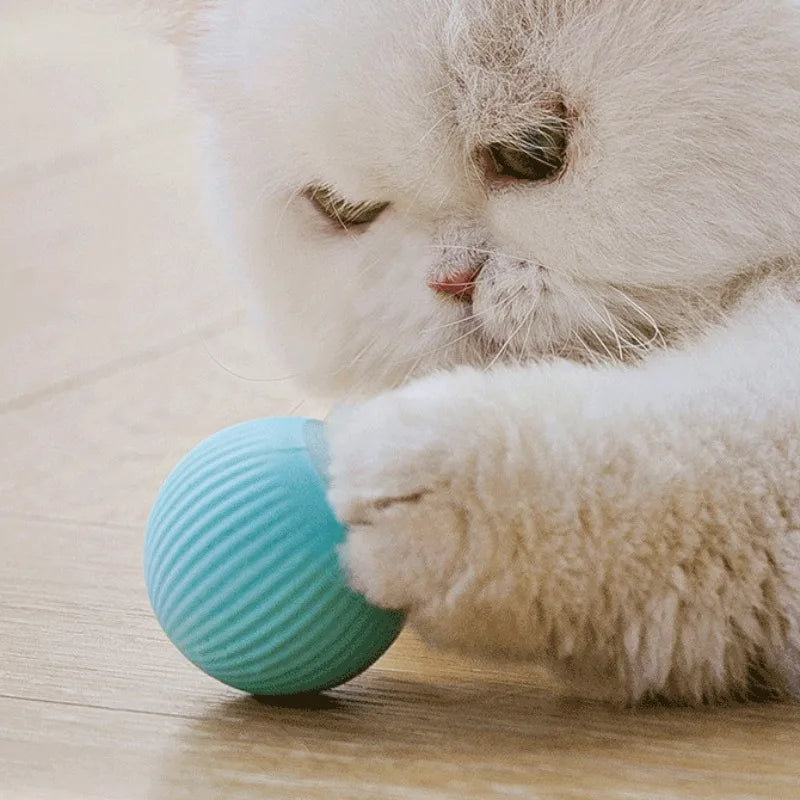 Magic Rolling Cat Ball