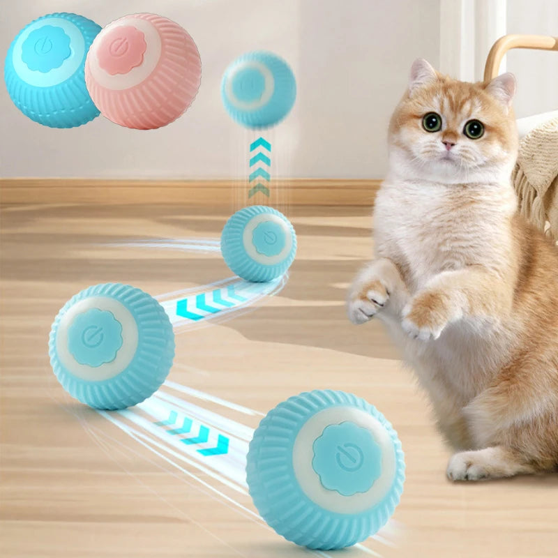 Magic Rolling Cat Ball