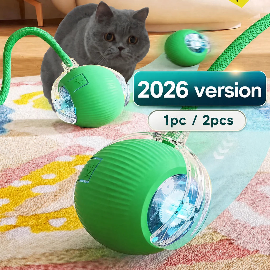 Smart Rolling Cat Ball – USB Rechargeable