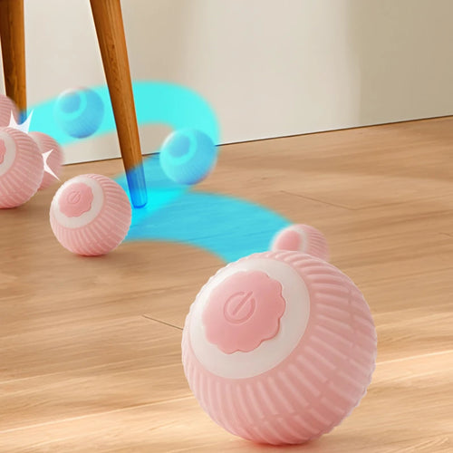 Magic Rolling Cat Ball